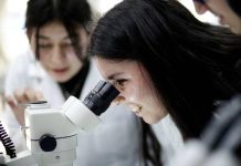 UCSC logra cerca del 50% de adjudicación en becas ANID 2025 para doctorados