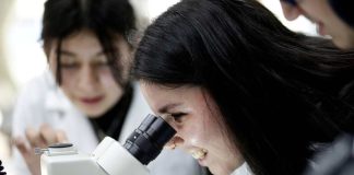 UCSC logra cerca del 50% de adjudicación en becas ANID 2025 para doctorados UCSC logra cerca del 50% de adjudicación en becas ANID 2025 para doctorados