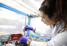 ULagos reafirma compromiso institucional con perspectiva de género con lanzamiento de Líneas de Apoyo 2025 ULagos reafirma compromiso institucional con perspectiva de género con lanzamiento de Líneas de Apoyo 2025