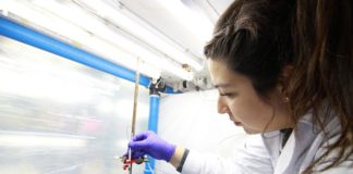 ULagos reafirma compromiso institucional con perspectiva de género con lanzamiento de Líneas de Apoyo 2025