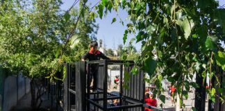 Año escolar 2025: Anuncian 10 proyectos para conectar a estudiantes con el juego y la naturaleza Año escolar 2025 Anuncian 10 proyectos para conectar a estudiantes con el juego y la naturaleza