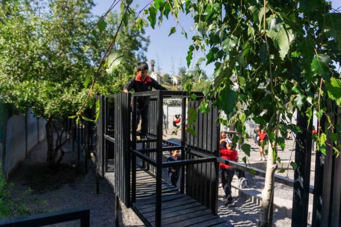 Año escolar 2025 Anuncian 10 proyectos para conectar a estudiantes con el juego y la naturaleza Año escolar 2025 Anuncian 10 proyectos para conectar a estudiantes con el juego y la naturaleza