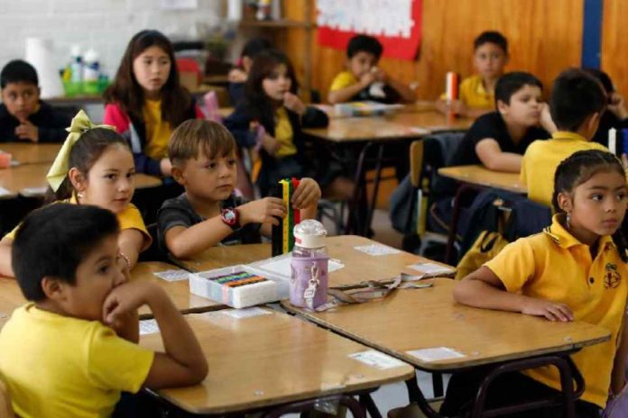 Asistencia a establecimientos educativos aumentó en quince regiones del país durante el año 2024