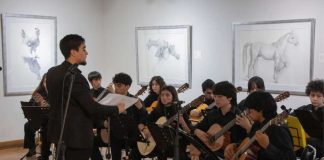 Audiciones Abiertas para la Orquesta Juvenil de Guitarras de Viña del Mar
