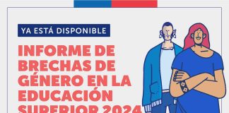 Brechas de género en educación superior