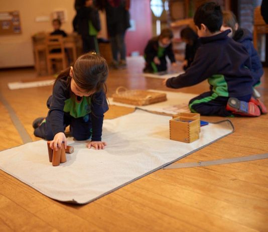 Cómo el Método Montessori prepara a los niños para un futuro laboral exitoso 