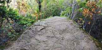 Crearán juegos de mesa para promover la conservación de petroglifos del Maule