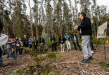 Empresas y academia se reúnen en jornada inmersiva para abordar desafíos de conservación de biodiversidad en Campus Naturaleza UdeC Empresas y academia se reúnen en jornada inmersiva para abordar desafíos de conservación de biodiversidad en Campus Naturaleza UdeC