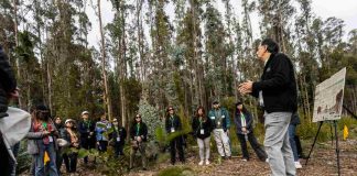 Empresas y academia se reúnen en jornada inmersiva para abordar desafíos de conservación de biodiversidad en Campus Naturaleza UdeC
