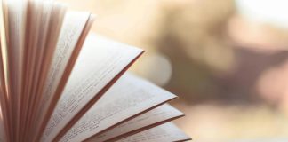 Escritoras femeninas que han conquistado a los lectores a través del mundo