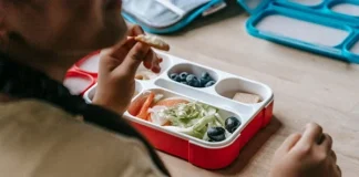 Vuelta a clases: consejos para mantener una alimentación saludable 