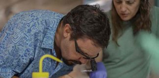 Investigadores ESMOI UCN reciben distinción internacional por importantes descubrimientos en montes submarinos