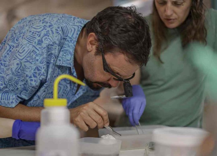 Investigadores ESMOI UCN reciben distinción internacional por importantes descubrimientos en montes submarinos