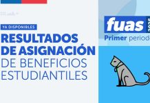 Mineduc publica primeros resultados de beneficios estudiantiles para la Educación Superior en 2025 y abre etapa de apelación online
