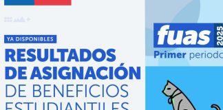 Mineduc publica primeros resultados de beneficios estudiantiles para la Educación Superior en 2025 y abre etapa de apelación online