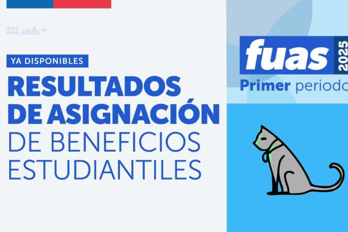 Mineduc publica primeros resultados de beneficios estudiantiles para la Educación Superior en 2025 y abre etapa de apelación online Mineduc publica primeros resultados de beneficios estudiantiles para la Educación Superior en 2025 y abre etapa de apelación online