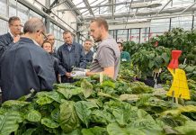 Nestlé y UNESCO presentan iniciativa global para mejorar la resiliencia climática a través de los jóvenes Nestlé y UNESCO presentan iniciativa global para mejorar la resiliencia climática a través de los jóvenes