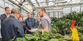 Nestlé y UNESCO presentan iniciativa global para mejorar la resiliencia climática a través de los jóvenes