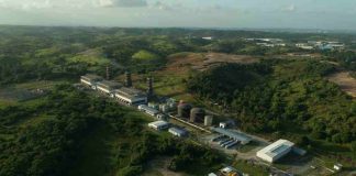 Primera prueba mundial que convierte la caña de azúcar en energía limpia