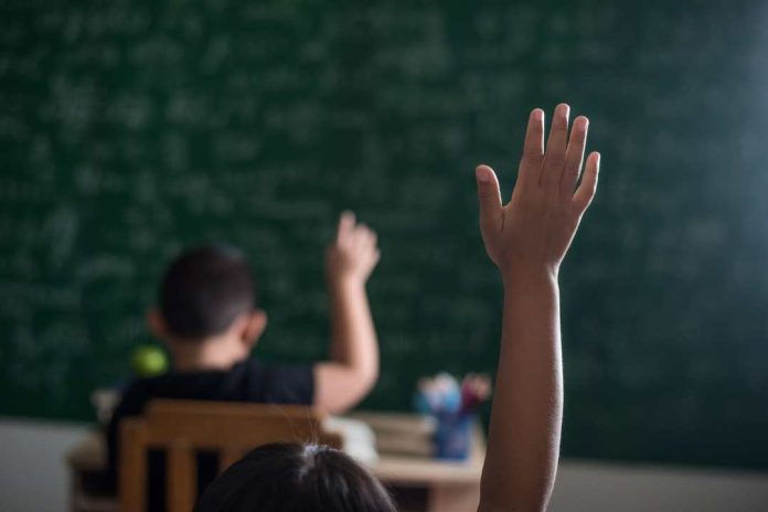 Regreso a clases Tips para apoyar la adaptación de estudiantes neurodivergentes Regreso a clases Tips para apoyar la adaptación de estudiantes neurodivergentes