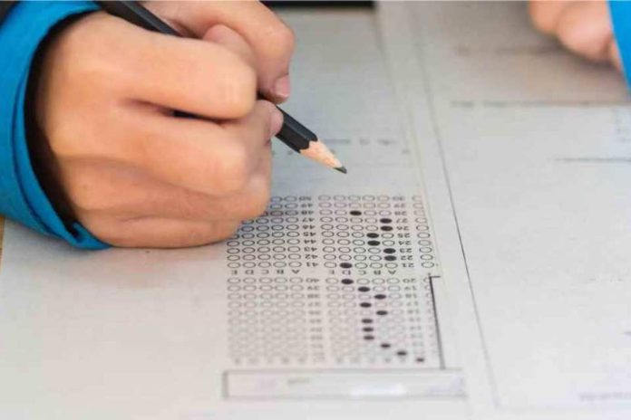 Resultados SIMCE: Pandemia habría influido en caída de índices de sexto básico