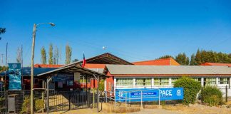 Con resultados históricos escuelas apoyadas por Fundación CMPC destacan en últimos resultados SIMCE