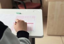 Cómo un preuniversitario online ayuda a lograr buenos resultados en la PAES