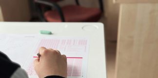 Cómo un preuniversitario online ayuda a lograr buenos resultados en la PAES