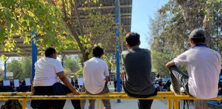 ¿Cómo enfrentar el ciberacoso?