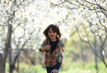 Niños en movimiento: Cómo la educación Montessori fomenta la concentración y perseverancia desde edades tempranas