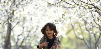 Niños en movimiento: Cómo la educación Montessori fomenta la concentración y perseverancia desde edades tempranas