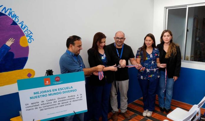 Codelco Andina impulsa mejoras en la escuela Nuestro Mundo Diverso para fortalecer la inclusión educativa