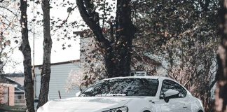 ¿Tu auto está listo para sobrevivir al otoño? Los errores que podrían costarte caro esta temporada. Consejos para cuidar el auto durante el otoño _AUTOPLANET