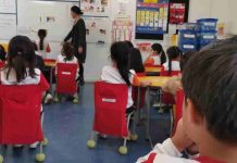 Docentes identifican el 96% de los casos de autismo en programa aplicado en escuelas vulnerables