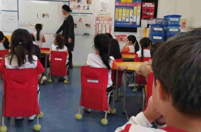 Docentes identifican el 96% de los casos de autismo en programa aplicado en escuelas vulnerables