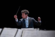 Guía para Directores Principiantes Segunda Temporada con Paolo Bortolameolli