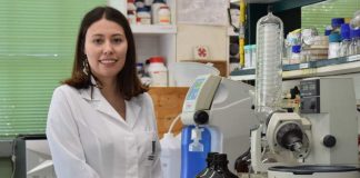 Investigadora USM estudia a bacterias nativas para combatir enfermedades en los viñedos