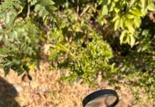 La importancia de la Escolarización Temprana ¿Tan chiquitos y al colegio (1)