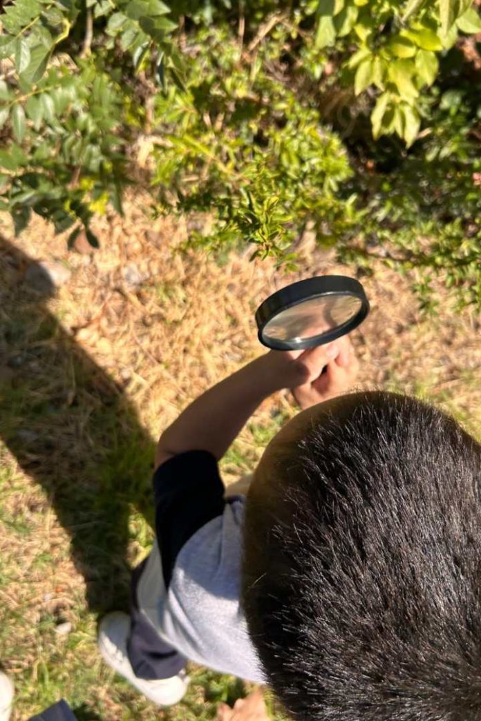 La importancia de la Escolarización Temprana ¿Tan chiquitos y al colegio (1) La importancia de la Escolarización Temprana ¿Tan chiquitos y al colegio (1)