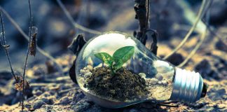 Manuia identifica los siete principales desafíos que enfrentan las finanzas sostenibles en Chile y el mundo