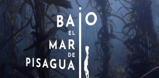 NTV y Oceana lanzan programación especial durante mayo para celebrar el Mes del Mar NTV y Oceana lanzan programación especial durante mayo para celebrar el Mes del Mar