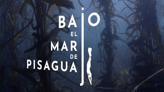 NTV y Oceana lanzan programación especial durante mayo para celebrar el Mes del Mar NTV y Oceana lanzan programación especial durante mayo para celebrar el Mes del Mar