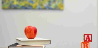 Radiografía a las colaciones escolares:¿Qué alimentos envían los chilenos?