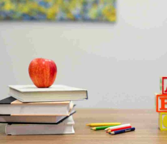 Radiografía a las colaciones escolares:¿Qué alimentos envían los chilenos?