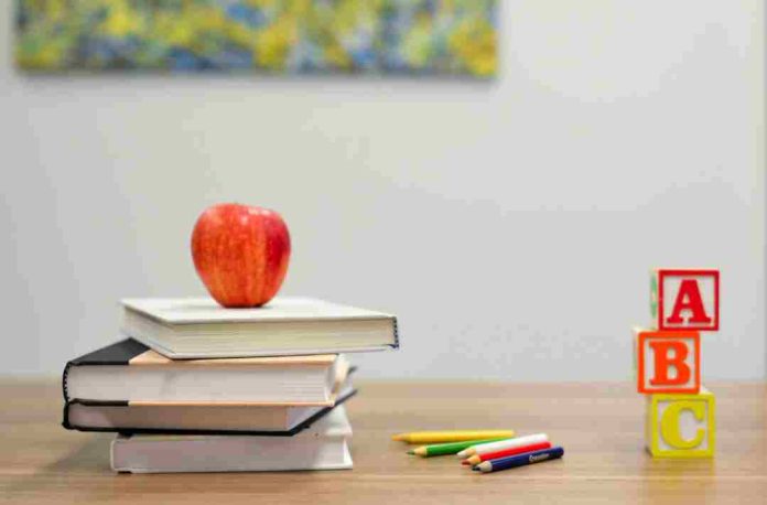 Radiografía a las colaciones escolares¿Qué alimentos envían los chilenos Radiografía a las colaciones escolares:¿Qué alimentos envían los chilenos?