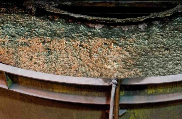 USM desarrolla tecnología que permite la recuperación de partículas finas de cobre USM desarrolla tecnología que permite la recuperación de partículas finas de cobre