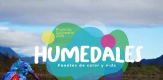Últimos días para sumarte a innovador proyecto educativo que une arte, medioambiente y creatividad