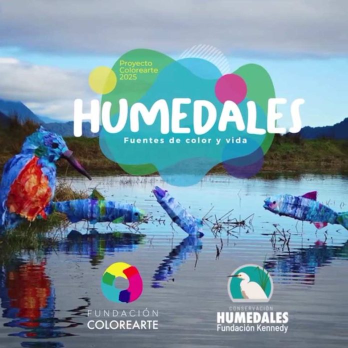 Últimos días para sumarte a innovador proyecto educativo que une arte, medioambiente y creatividad