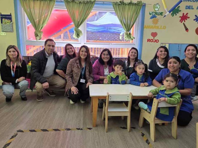 Subsecretaría adjudica $50 millones para proyectos de innovación en Educación Parvularia en La Araucanía