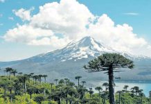 Lanzan proyecto para desarrollar Hidrógeno Verde en La Araucanía